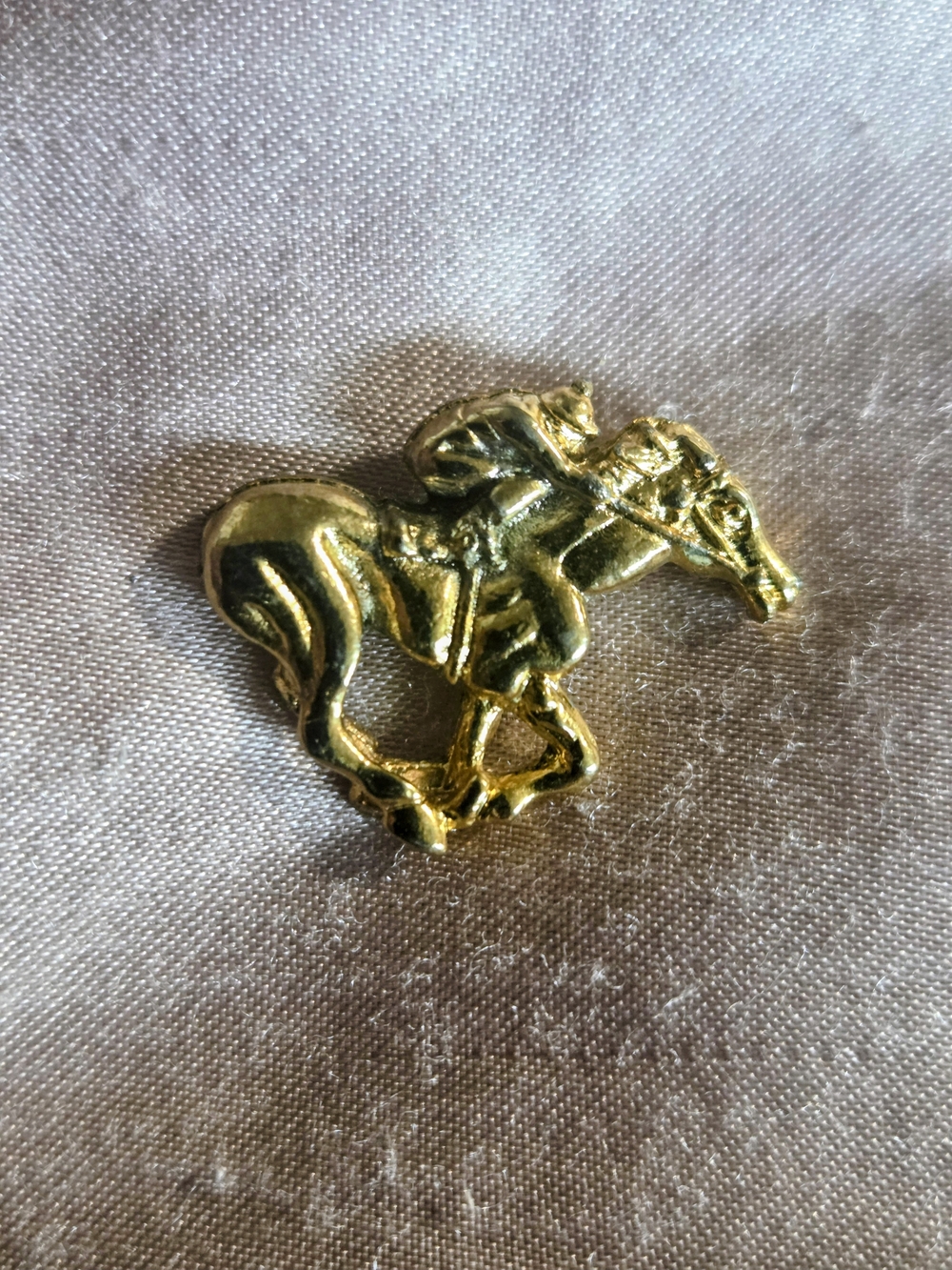 Equistrian Hollywood Park Gold Tone Horse Pin